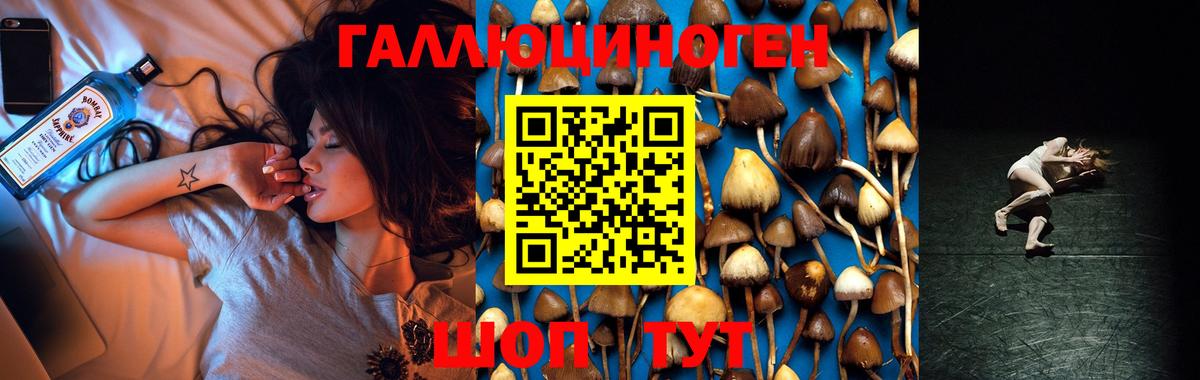 Галлюциногенные грибы Psilocybe Ивантеевка