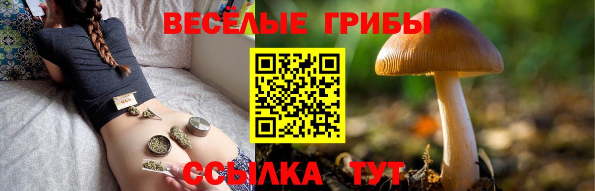 Псилоцибиновые грибы прущие грибы  Вход с VPN  Ивантеевка  Галлюциногенные грибы Cubensis 